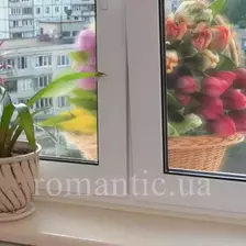 Сюрприз в окно