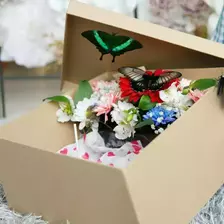 2 a box with live butterflies as a gift