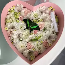7 a box with live butterflies as a gift