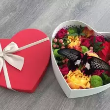 8 a box with live butterflies as a gift