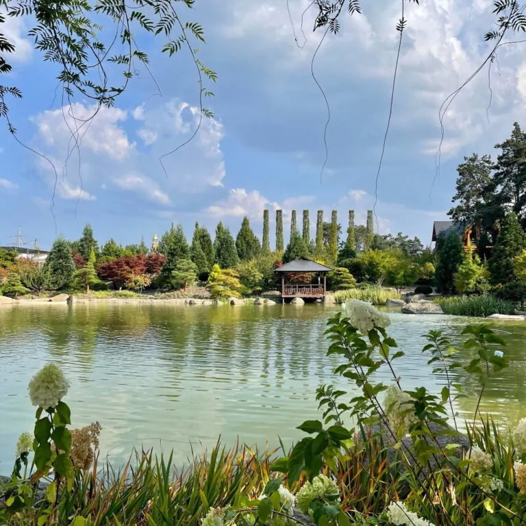 Романтична вечеря на даху у Києві romantic.ua